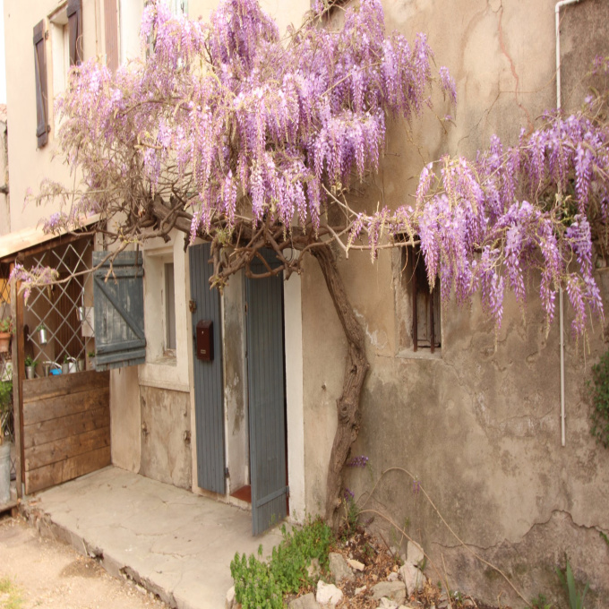 Offres de vente Maison de village La Bouilladisse (13720)
